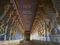 Sri Meenakshi Temple, Madurai, Tamil Nadu, India, Asia-Tuul-Photographic Print