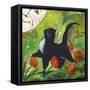 Tuxedo Cat With Moonface & Tulips-sylvia pimental-Framed Stretched Canvas