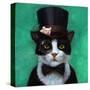 Tuxedo Cat-Lucia Heffernan-Stretched Canvas
