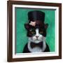 Tuxedo Cat-Lucia Heffernan-Framed Premium Giclee Print