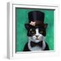 Tuxedo Cat-Lucia Heffernan-Framed Art Print