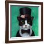 Tuxedo Cat-Lucia Heffernan-Framed Art Print