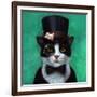 Tuxedo Cat-Lucia Heffernan-Framed Premium Giclee Print