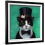 Tuxedo Cat-Lucia Heffernan-Framed Premium Giclee Print