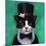 Tuxedo Cat-Lucia Heffernan-Mounted Premium Giclee Print