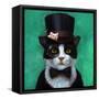 Tuxedo Cat-Lucia Heffernan-Framed Stretched Canvas