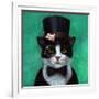 Tuxedo Cat-Lucia Heffernan-Framed Art Print