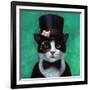 Tuxedo Cat-Lucia Heffernan-Framed Art Print