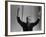 TV Emcee Ed Sullivan Holding His Arms Up, During 20th Anniversary Show-Arthur Schatz-Framed Premium Photographic Print