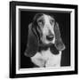 TV Star Dog J. J. Morgan Posing for a "Life" Picture-Walter Sanders-Framed Premium Photographic Print