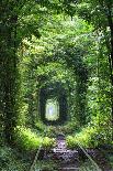 Tunnel of Love-tverkhovinets-Framed Stretched Canvas