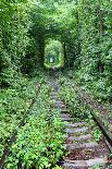 Tunnel of Love-tverkhovinets-Stretched Canvas