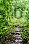 Tunnel of Love-tverkhovinets-Mounted Photographic Print