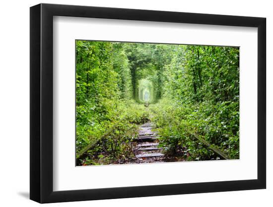 Premium Photographic Print, , large