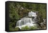 Tvindefossen Waterfall, Tvinde Near Voss, Hordaland, Norway, Scandinavia, Europe-Gary Cook-Framed Stretched Canvas