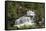 Tvindefossen Waterfall, Tvinde Near Voss, Hordaland, Norway, Scandinavia, Europe-Gary Cook-Framed Stretched Canvas