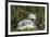 Tvindefossen Waterfall, Tvinde Near Voss, Hordaland, Norway, Scandinavia, Europe-Gary Cook-Framed Photographic Print