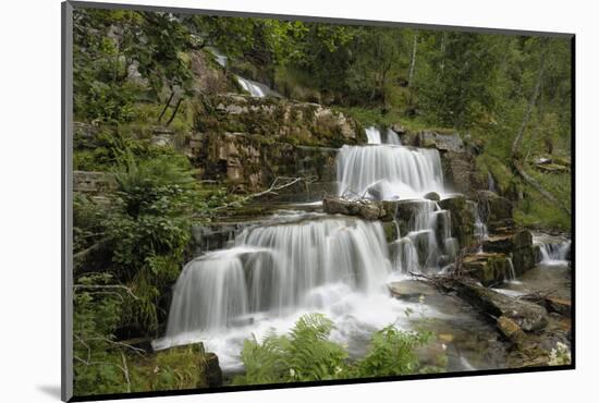 Tvindefossen Waterfall, Tvinde Near Voss, Hordaland, Norway, Scandinavia, Europe-Gary Cook-Mounted Photographic Print