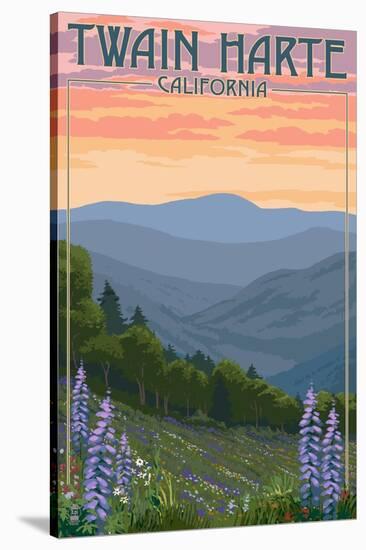 Twain Harte, California - Spring Flowers-Lantern Press-Stretched Canvas