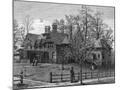 Wood Mount