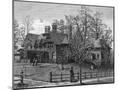 Wood Mount