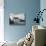 Twee Farmhouse-null-Mounted Photographic Print displayed on a wall