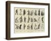 Twelfth-Night Characters-Frederick Barnard-Framed Giclee Print