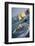 Twelve Apostles Sea Stacks-Paul Souders-Framed Photographic Print