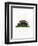 Twelve-Banded Armadillo-null-Framed Premium Giclee Print