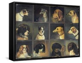 Twelve Favourite Dogs, 1883-Edwin Frederick Holt-Framed Stretched Canvas