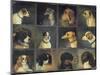 Twelve Favourite Dogs, 1883-Edwin Frederick Holt-Mounted Giclee Print