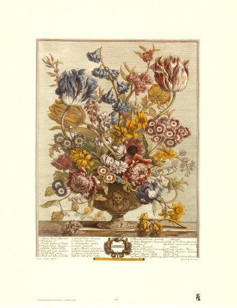 https://imgc.allpostersimages.com/img/posters/twelve-months-of-flowers-1730-april_u-L-E81IY0.jpg?artPerspective=n