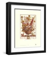 Twelve Months of Flowers, 1730, December-Robert Furber-Framed Art Print