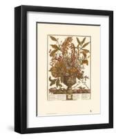 Twelve Months of Flowers, 1730, January-Robert Furber-Framed Art Print