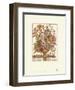 Twelve Months of Flowers, 1730, September-Robert Furber-Framed Art Print