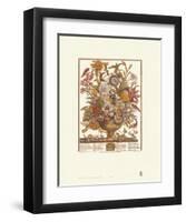 Twelve Months of Flowers, 1730, September-Robert Furber-Framed Art Print