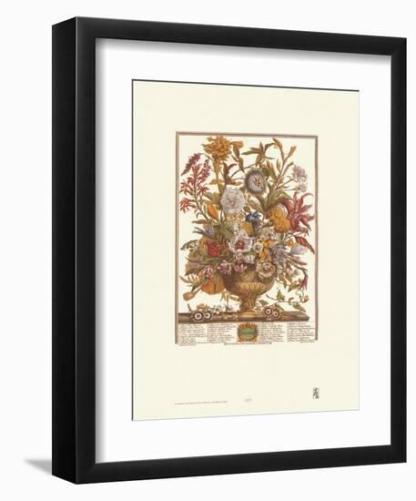 Twelve Months of Flowers, 1730, September-Robert Furber-Framed Art Print