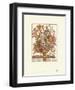 Twelve Months of Flowers, 1730, September-Robert Furber-Framed Art Print