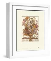 Twelve Months of Flowers, 1730, September-Robert Furber-Framed Art Print