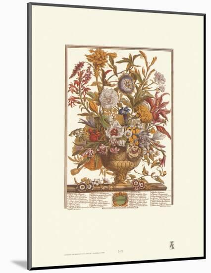 Twelve Months of Flowers, 1730, September-Robert Furber-Mounted Art Print