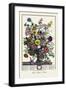 Twelve Months of Flowers-null-Framed Art Print