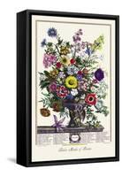 Twelve Months of Flowers-null-Framed Stretched Canvas