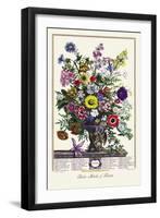 Twelve Months of Flowers-null-Framed Art Print