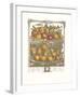 Twelve Months of Fruits, 1732, April-Robert Furber-Framed Art Print