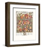 Twelve Months of Fruits, 1732, August-Robert Furber-Framed Art Print