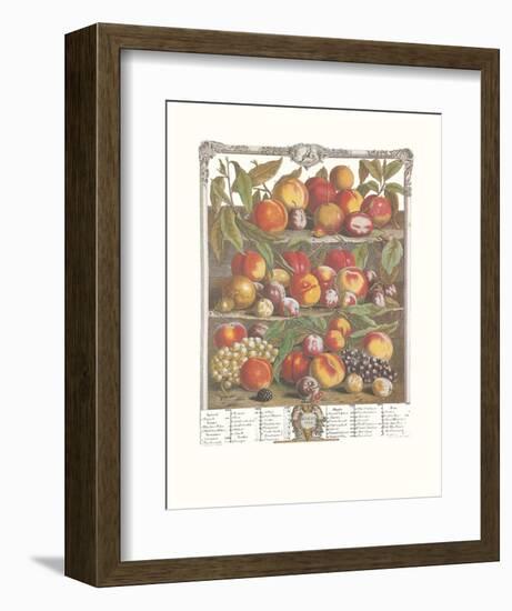 Twelve Months of Fruits, 1732, August-Robert Furber-Framed Art Print