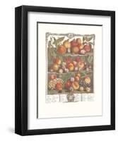 Twelve Months of Fruits, 1732, August-Robert Furber-Framed Art Print