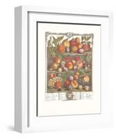 Twelve Months of Fruits, 1732, August-Robert Furber-Framed Art Print