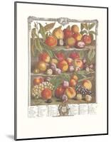 Twelve Months of Fruits, 1732, August-Robert Furber-Mounted Art Print