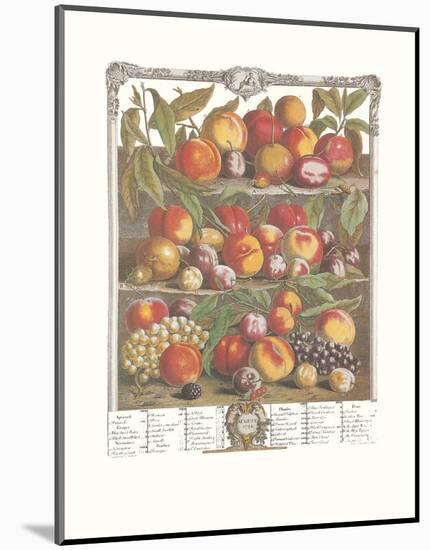 Twelve Months of Fruits, 1732, August-Robert Furber-Mounted Art Print